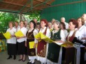 IMG_8882